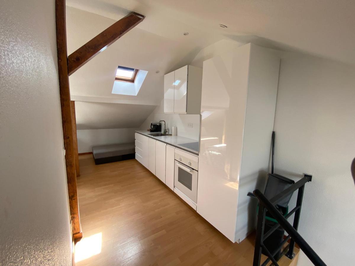 Apartament Petit Mulhouse 401 Zewnętrze zdjęcie